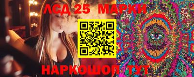 шишки Краснознаменск