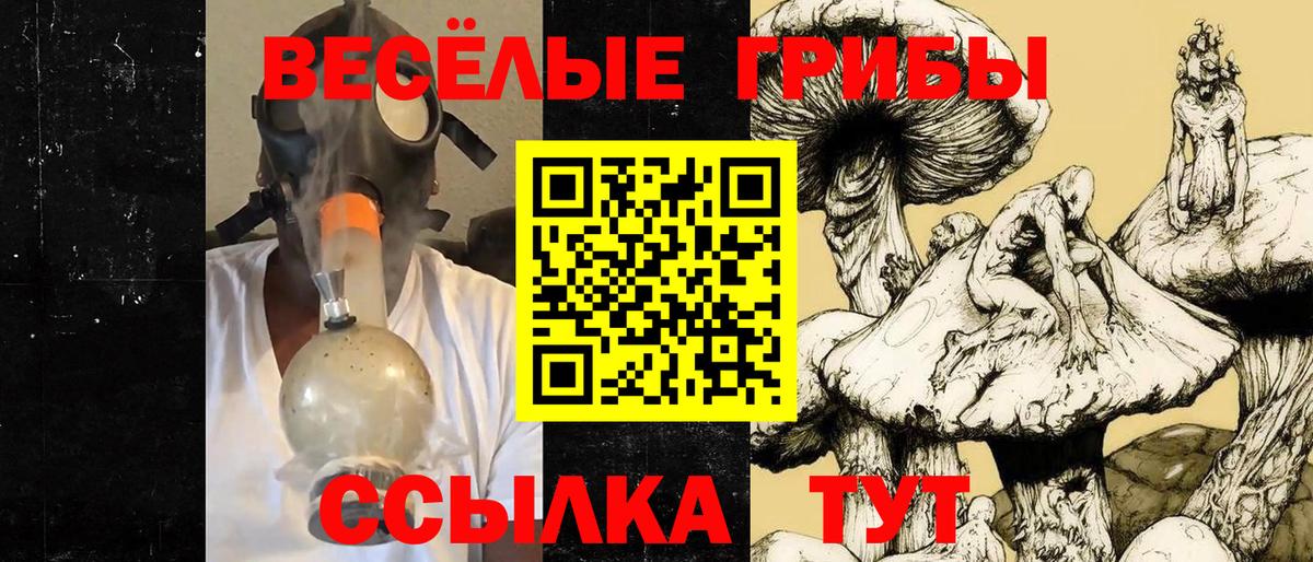 Псилоцибиновые грибы GOLDEN TEACHER Карачаевск