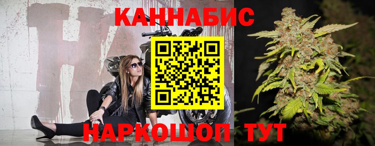Канабис сатива Карачаевск